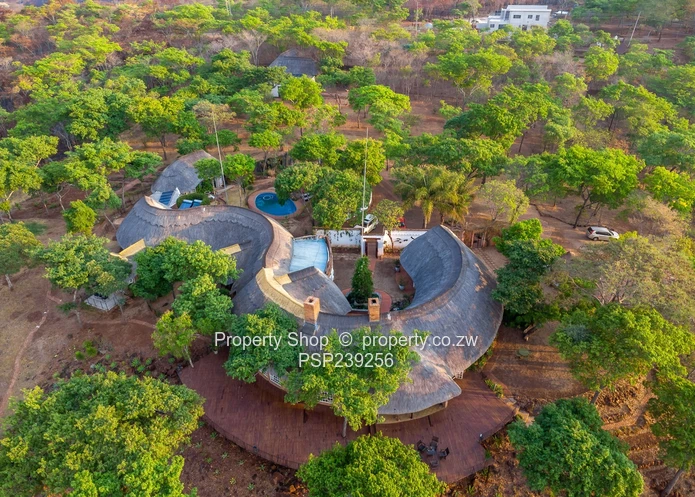 An Oasis Of Tranquility And Luxury