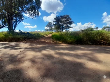 Farm & Agricultural Land