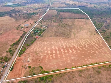 Farm & Agricultural Land