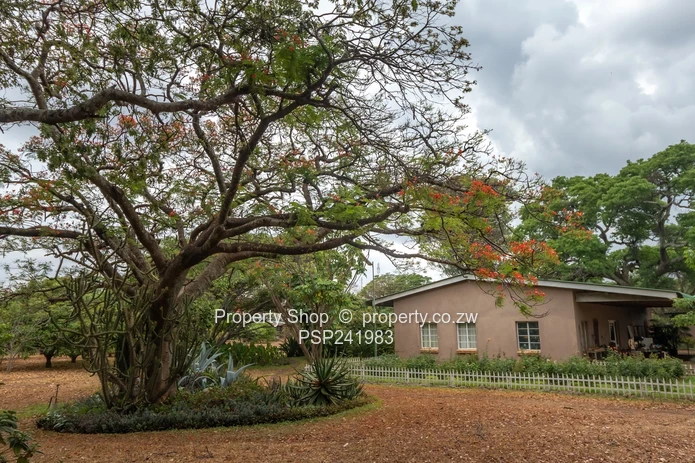 Land Opportunity!