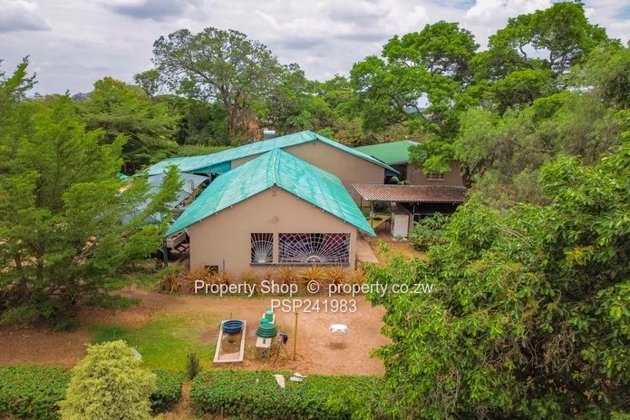 Land Opportunity!