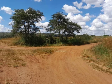 Farm & Agricultural Land
